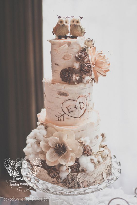 rustic-birch-wedding-cake-with-little-owl-cake-topper