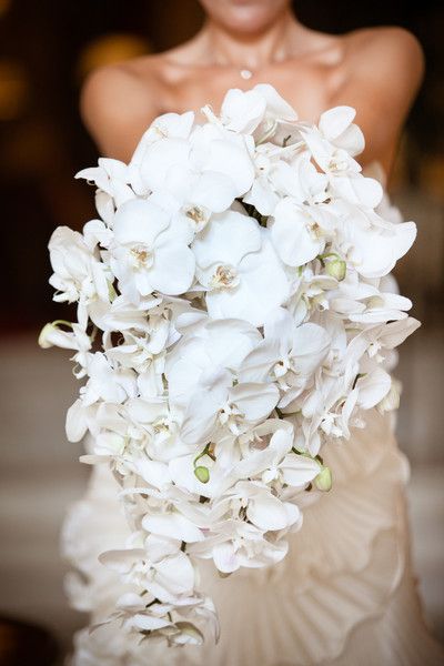 white orchids bouquets