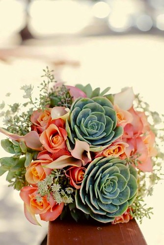 colorful succulent bouquet