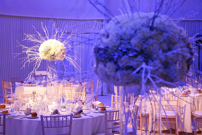 perfect blue winter wedding 