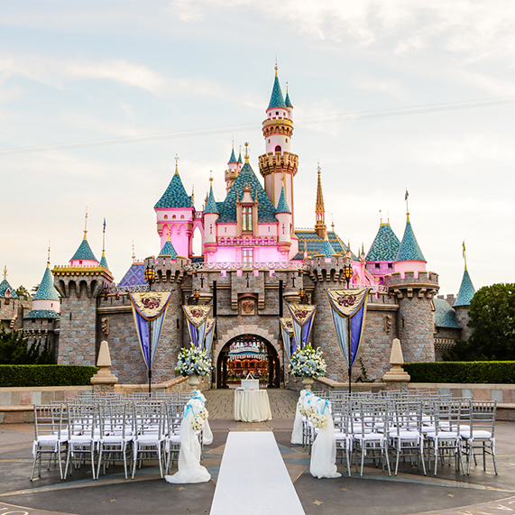 gorgeous disney wedding theme