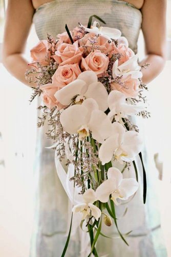 soft pink orchid flower