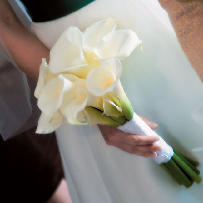 White Calla Lily Wedding Bouquets Showing Simple and Classic Impression