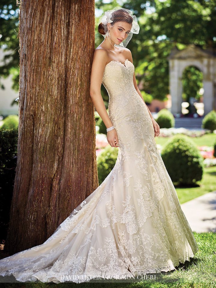 Elegance Mermaid Wedding Gowns Showing Your Beauty in Special Moment ...