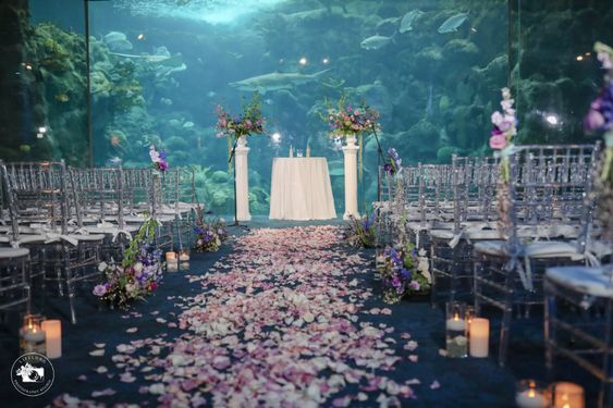 aquarium wedding venue with aisle