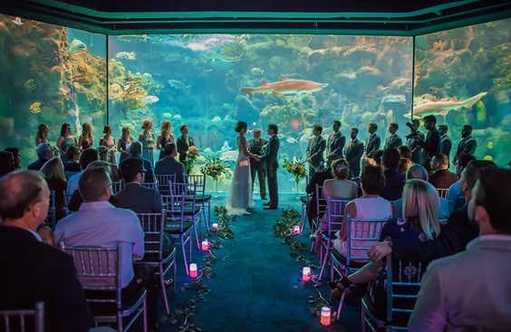 Aquarium for wedding venue