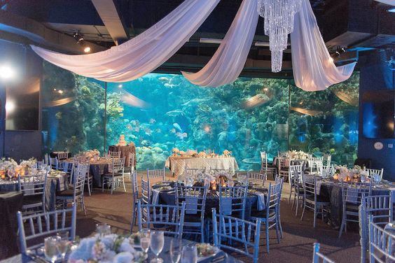 unique wedding venue in aquarium 