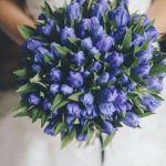 blue-lilie-bouquet