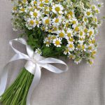 chamomile-bouquet