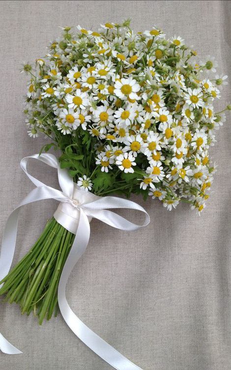 Beautiful Chamomile Bouquet