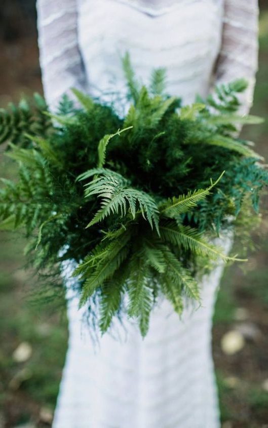 Green Fern Plants for Natural Bridal Bouquet