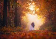 The Complete Guide to Plan a Fall Wedding: Fashion, Decorations, & Inspiration Ideas